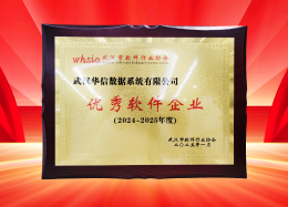 喜讯丨DB真人旗舰 DB数据获评2024~2025年度武汉市软件行业&ldquo;优秀企业&rdquo;、&ldquo;优秀工作者&rdquo;荣誉称号！